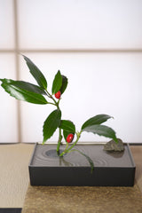 IKEBANA vase / 生花用花器