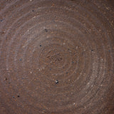 MARUKO Seto Ware Rim Plate - Kohiki Ivory - 3 Options / 瀬戸焼 浅皿