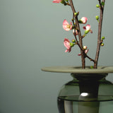 Sugahara Handmade Glassworks - Artemis Humidifying Flower Vase - Forest Green / 菅原工芸硝子 Sghr