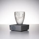 Mizore Sake Glass with Saucer Gift Set - Sakura / こぼし酒 桜