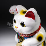 Seto Ware Lucky Cat Ornament - Right Hand - 33 cm / 瀬戸焼 招き猫