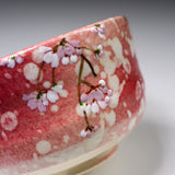 Fujihira Seibun Kiln Kyo Kiyomizu Ware Matcha Bowl - Blossom Pink / 藤平正文窯