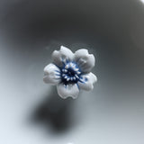 HIRADO KOHSYO DANEMON Kiln Mikawachi Ware Sake Cup / 平戸洸祥団右ヱ門窯 菊花飾盃