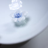 HIRADO KOHSYO DANEMON Kiln Mikawachi Ware Sake Cup / 平戸洸祥団右ヱ門窯 菊花飾盃