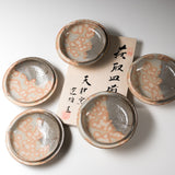 Hagi Ware Pottery Plate Set with Wooden Box - Set of 5 / 萩焼 御本手取皿揃え