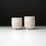 Hagi Ware Pottery Pair Yunomi Tea Cup - Ohonte / 天龍窯 ペア湯呑み