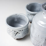 Tenryu Kiln Hagi ware Sake Set with Wooden Box - White Hagi  / 萩焼 酒器