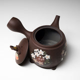 Hand-painted Tokoname Teapot - 300 ml - Sakurasaku / 常滑急須