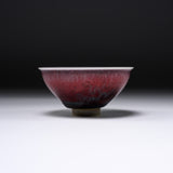 Harumi Hayakawa Sake Cup - Miku 美紅 / 早川 元観 盃