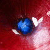 Harumi Hayakawa Sake Cup - Miku 美紅 / 早川 元観 盃