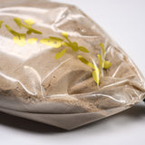 Incense Cloud - Censer Ash - Beige / 香炉灰