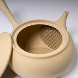 JINSUI Tokoname ware Teapot 250 ml - TOKI Hira series - Kinari / 人水 常滑急須
