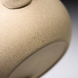 JINSUI Tokoname ware Teapot 250 ml - TOKI Hira series - Kinari / 人水 常滑急須