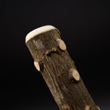 Japanese Sansho Wood Surikogi Pestle - 3 Sizes Options