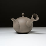 JINSUI Tokoname ware Teapot - IROIRO Gray 290 ml / 人水 常滑急須