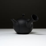 JINSUI Tokoname ware Teapot - IROIRO Mat Black 290 ml / 人水 常滑急須