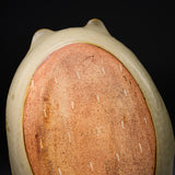 Shinichi Ozeki Polar Bear Oval Plate / 笠間焼