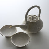 KOSHUN Kiln Kyo Kiyomizu Ware Shizuku Series Sake Set - Shizuku / 洸春窯 酒器セット 雫