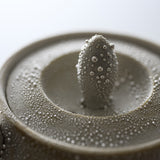 KOSHUN Kiln Kyo Kiyomizu Ware Shizuku Series Sake Set - Shizuku / 洸春窯 酒器セット 雫