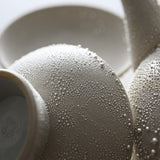 KOSHUN Kiln Kyo Kiyomizu Ware Shizuku Series Sake Set - Shizuku / 洸春窯 酒器セット 雫