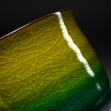 Kutani ware Mug Cup - Gradation Camellia / 九谷焼 マグカップ