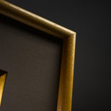 Kutani ware Premium Framed Porcelain Artwork - Fukuda Yoshinori - Carp / 九谷焼