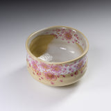 Kutani ware Premium Matcha Bowl - Fukuda Yoshinori / 九谷焼 抹茶碗