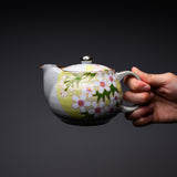 Kutani ware Single Teapot - Sakura / 九谷焼 急須