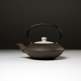 Kyo Kiyomizu Ware/Cast Iron Teapot - Gold Cherry Flower 410 ml / 京焼・清水焼き