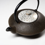 Kyo Kiyomizu Ware/Cast Iron Teapot - Gold Cherry Flower 410 ml / 京焼・清水焼き