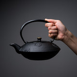 Kyo Kiyomizu Ware Cast Iron Teapot - Black Kumo - 900 ml / 南部鉄器