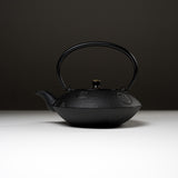 Kyo Kiyomizu Ware Cast Iron Teapot - Black Kumo - 900 ml / 南部鉄器