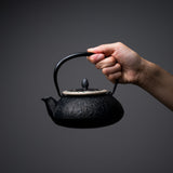 Kyo Kiyomizu Ware Cast Iron Teapot - Silver Pine - 510 ml / 南部鉄器