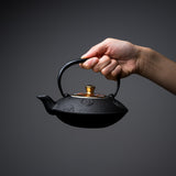 Kyo Kiyomizu Ware Cast Iron Teapot - Black Komon - 410 ml / 南部鉄器