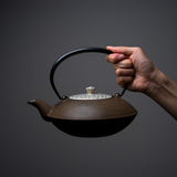 Kyo Kiyomizu Ware Cast Iron Teapot - Gold Cherry Flower 900 ml / 南部鉄器