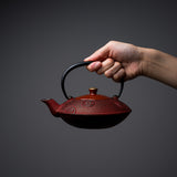 Kyo Kiyomizu Ware Cast Iron Teapot - Red Kumo - 410 ml / 南部鉄器