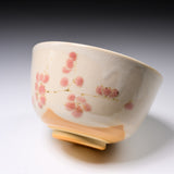 Kyo Kiyomizu Ware Handmade Matcha Bowl - Kouhaku Edaume  / 京焼・清水焼き