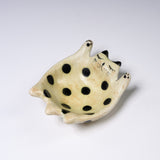 Mizutama Kobo Noriko Sato Cat Bowl - Small - Five Colour Options