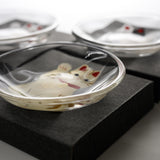 Maneki-neko Meow Cat Plate - Three Design Options - New Meow / にゃんこの豆皿