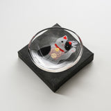 Maneki-neko Meow Cat Plate - Three Design Options - New Meow / にゃんこの豆皿
