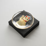 Maneki-neko Meow Cat Plate - Three Design Options - New Meow / にゃんこの豆皿
