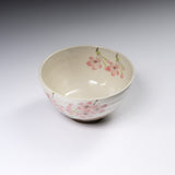 Mino ware Matcha Bowl - Shiroyama Sakura / 抹茶碗