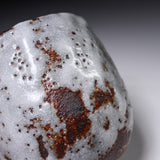 Ouji Kiln Shino Large Beer Mug / 王子窯 志野マグカップ