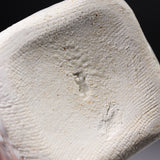 Ouji Kiln Shino White Vase with Wooden Box / 王子窯 志野花入