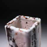 Ouji Kiln Momo Shino Vase with Wooden Box / 王子窯 桃志野花入