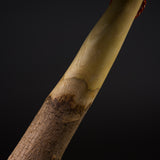 Ouji Kiln Suribachi & Surikogi Set - Large 26 cm / 王子窯 志野すり鉢