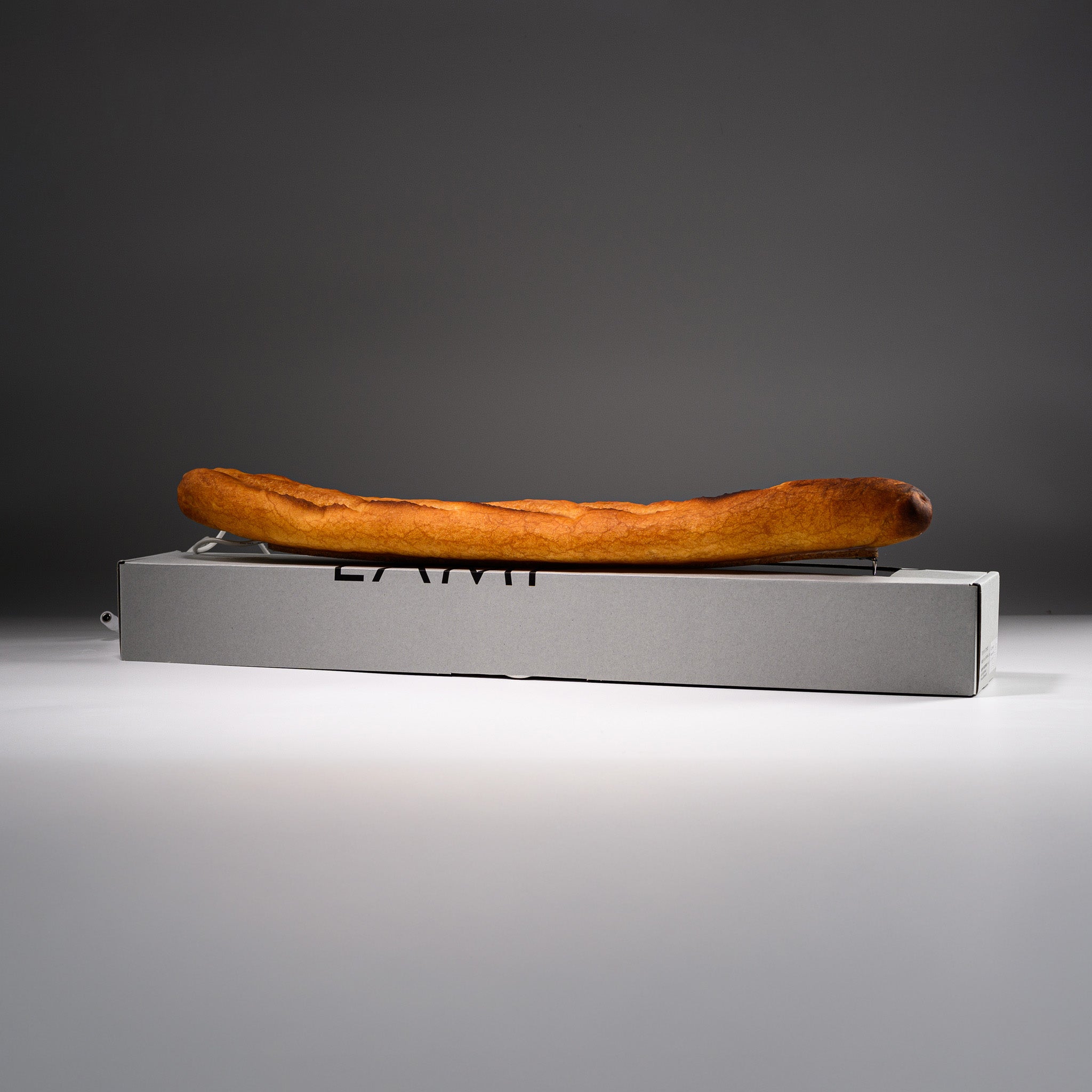 PAMPSHADE Real Bread Lamps - Baguette / パンプシェード by Yukiko Morita
