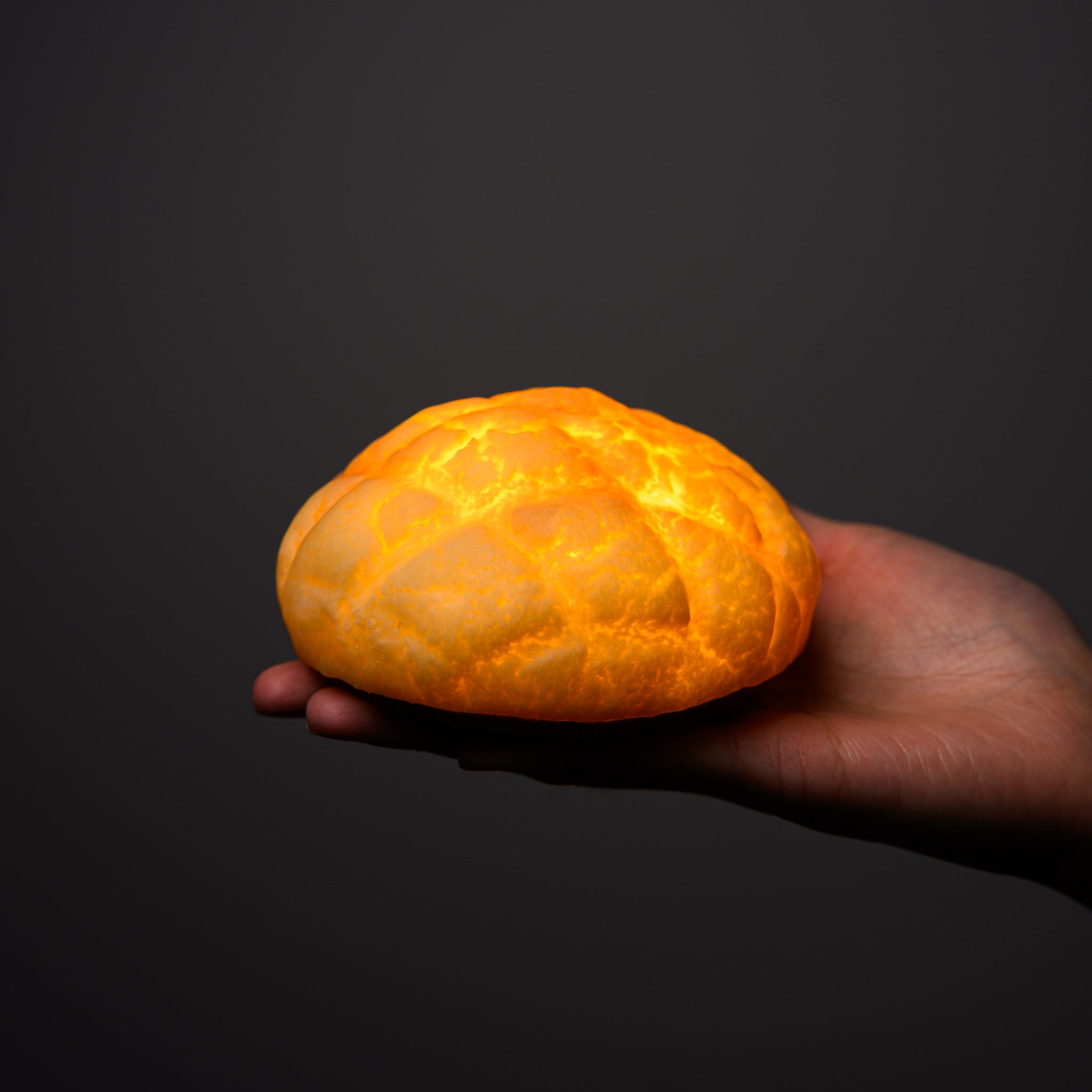 PAMPSHADE Real Bread Lamps - Melonpan / パンプシェード by Yukiko Morita