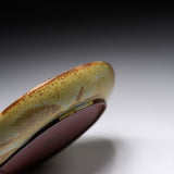 KASHIWA Seto Ware - Plate - Mushroom Large / 瀬戸焼 かしわ窯