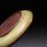 KASHIWA Seto Ware  - Plate - Mushroom Small / 瀬戸焼 かしわ窯